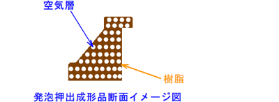 発泡押出成形品断面イメージ図